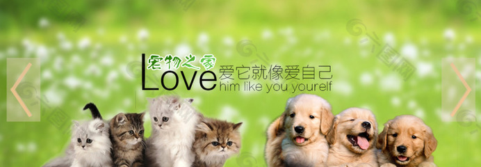 德扑圈俱乐部客服推荐