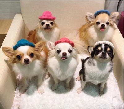 hhpoker德扑线上客服