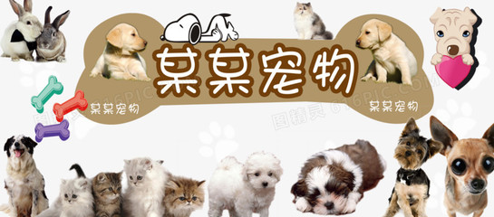 德扑圈俱乐部推荐