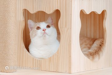 德扑圈俱乐部客服推荐