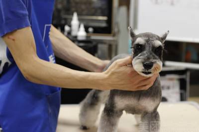 hhpoker俱乐部客服推荐