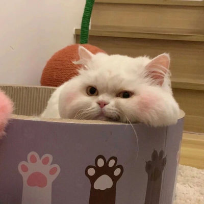 德扑圈人工客服微信